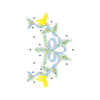 Illustration Animals