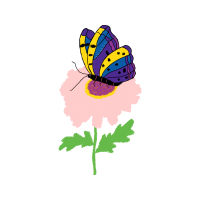 Illustration Animals