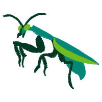 Illustration Animals