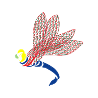 Illustration Animals Illustration Animals