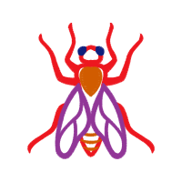 Illustration Animals