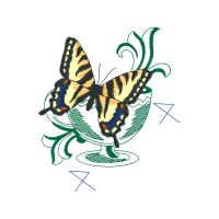 Illustration Animals Illustration Animals