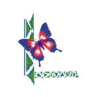 Illustration Animals Illustration Animals