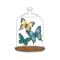 Illustration Animals