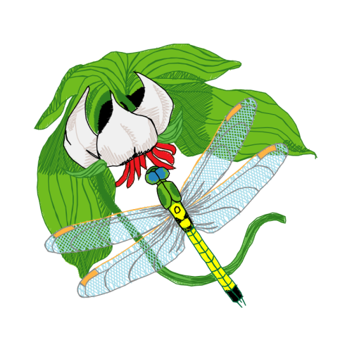 Illustration Animals Illustration Animals