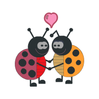 Illustration Animals