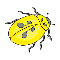 Illustration Animals Illustration Animals