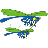 Illustration Animals Illustration Animals