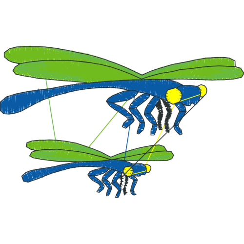 Illustration Animals Illustration Animals