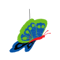 Illustration Animals