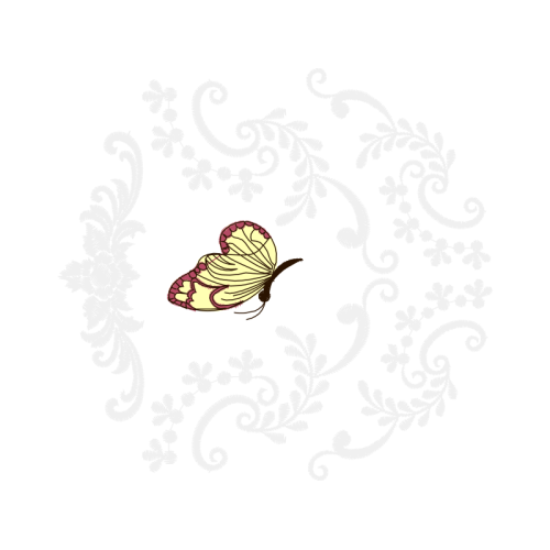 Illustration Animals Illustration Animals