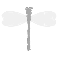 Illustration Animals Illustration Animals