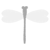 Illustration Animals Illustration Animals