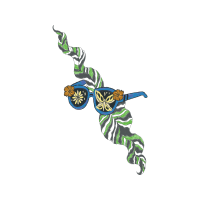 Illustration Animals