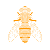 Illustration Animals