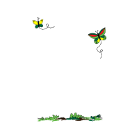 Illustration Animals