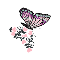 Illustration Animals