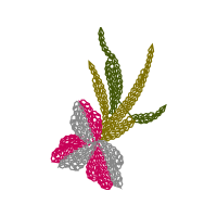 Illustration Animals