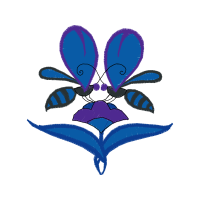 Illustration Animals Illustration Animals