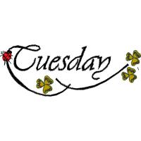 Illustration Animals