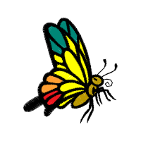 Illustration Animals
