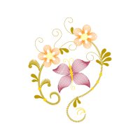 Illustration Animals