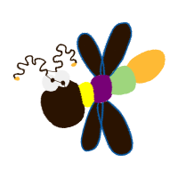 Illustration Animals