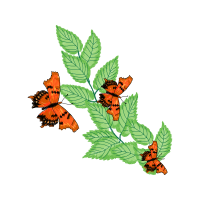 Illustration Animals