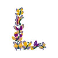 Illustration Animals