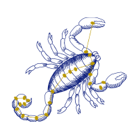 Illustration Animals Illustration Animals