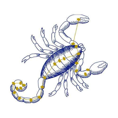 Illustration Animals