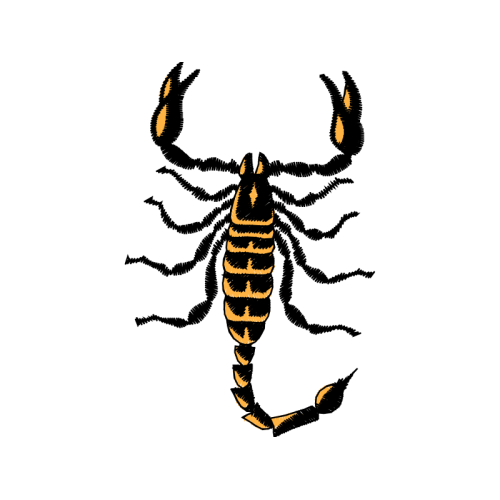 Illustration Animals