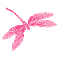 Illustration Animals