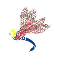 Illustration Animals Illustration Animals