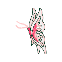 Illustration Animals