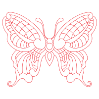 Illustration Animals