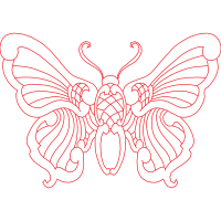 Illustration Animals