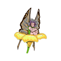 Illustration Animals Illustration Animals