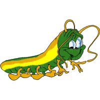 Illustration Animals