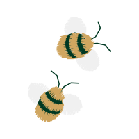 Illustration Animals