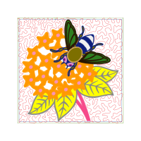 Illustration Animals