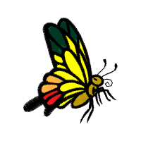 Illustration Animals