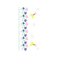 Illustration Animals