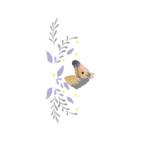 Illustration Animals