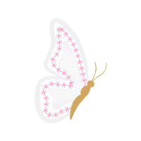 Illustration Animals