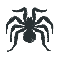 Insects Animals Insects Animals