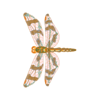 Insects Animals Insects Animals