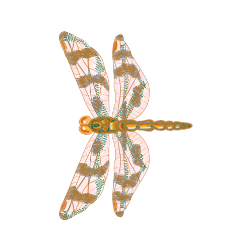 Insects Animals Insects Animals