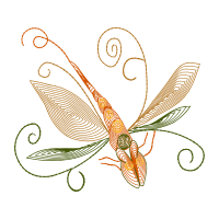 Insects Animals Insects Animals