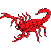 Insects Animals Insects Animals